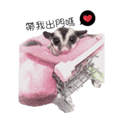 小蜜日常
