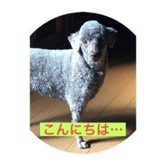 ATSUMI_20190821211356