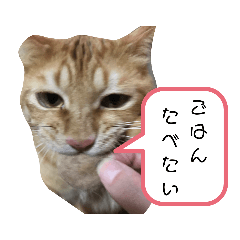 REN-KUN_20190821211005