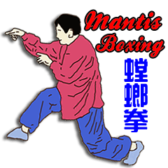 Mantis Boxing English