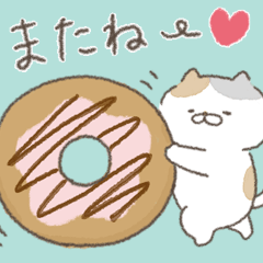 donut cat!!!