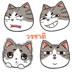 VORACHAT trollcat emoji