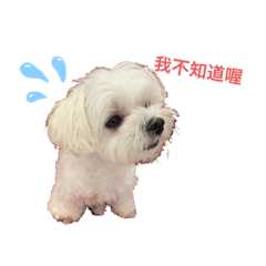 小公主BB殿下