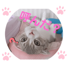 mikko_20190821112914