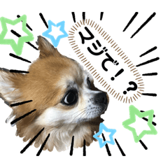 TAROYUTO