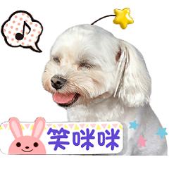 球球girl日常生活