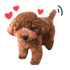 koa 2 !