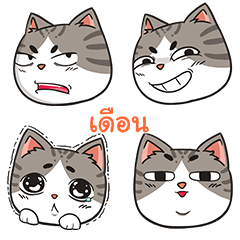 DUEN trollcat emoji