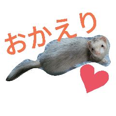 KINAKO_20190821224156