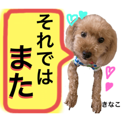 kinako_20190821214945