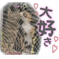 gomataro_mimi&hana-stamps