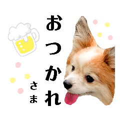 Yukiko_20190822001800