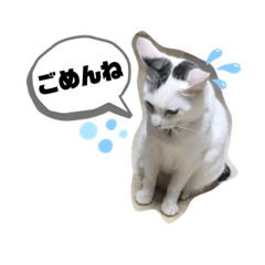 natsumi_20190822002133