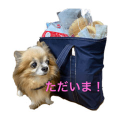 MORI_20190822003533