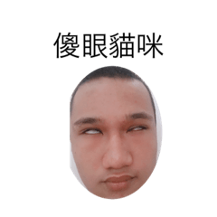 我是樂樂哥哥