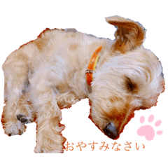 minami_20190822022952