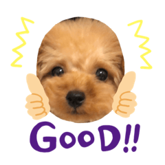 Hiyori_20190822085052