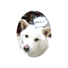 hana_20190822121023