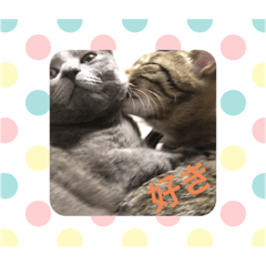 dori_20190822074321