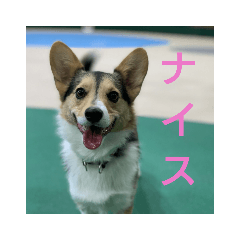 peace_20190822131030