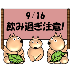 Overdrinking caution!<Sept.>Dogs/Leaves