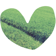 mar_nature_stamps