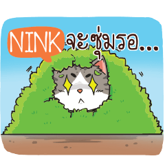 NINK cheeky cat e
