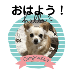 HAYATO_20190822173829