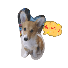 KAITO_20190822190324