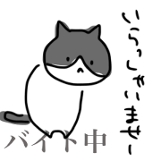 mashiro.cat sticker