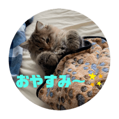 hiroki_20190822202123