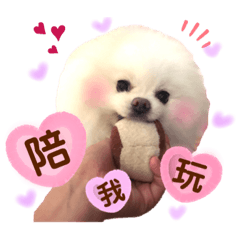 我❤️Bebo