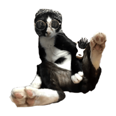Catz tank