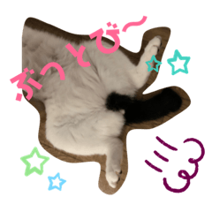 kanako_20190822211726