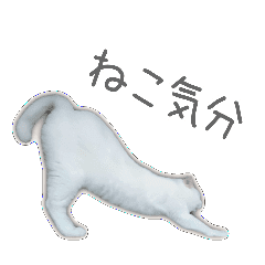 ゆずもも 猫スタンプ3 ねこ気分 Line スタンプ Line Store ゆずもも 猫スタンプ3 ねこ気分 Line スタンプ Line Store