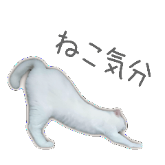 ゆずもも*猫スタンプ3 -ねこ気分- - LINE スタンプ LINE STORE