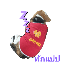moo_20190822195115