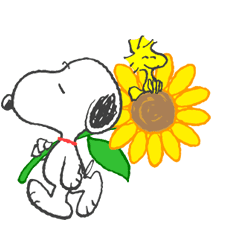 Sweet Summer Snoopy Animated Stickers Line Stickers Line Store