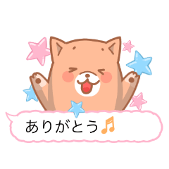 my pet dog azuki