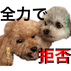 kinako_20190822213005