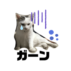 natsumi_20190822231417