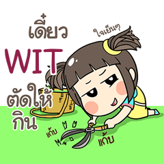 WIT kao-soi e