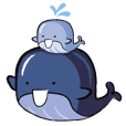 Andrew Little cute whale