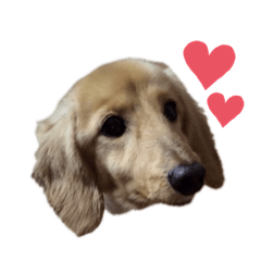 NOZOMI_20190823084054