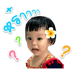 Neta version1