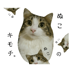 mizuki_20190823012838