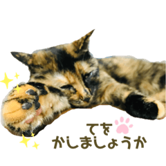 solty yunohana Kiki