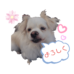 Hikaru_20190823172332