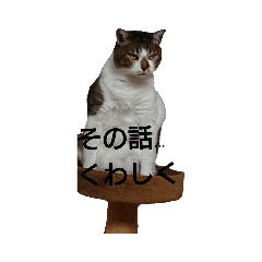 umi_20190823173041