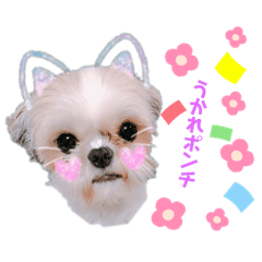 ayumi_20190823205549